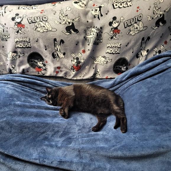 Meet your Posher, Helen - Picture 1 of 1